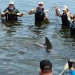 Trade War Tensions: Are Trump’s Tariffs a Risky Bet for the U.S. Economy?