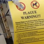 Controversial Crossroads: Pivotal Moments Where America’s Path Could Have Changed