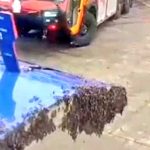 Truth Social Launches Crypto Blue Chip ETF Featuring Bitcoin, Ethereum, Solana, and More