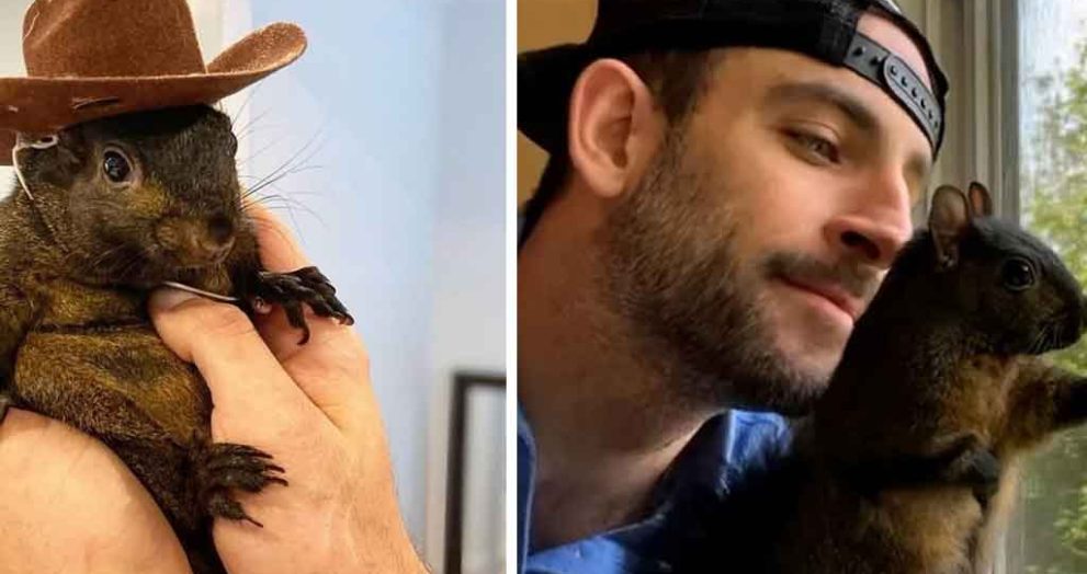 Pet Squirrel Peanut and Raccoon Fred’