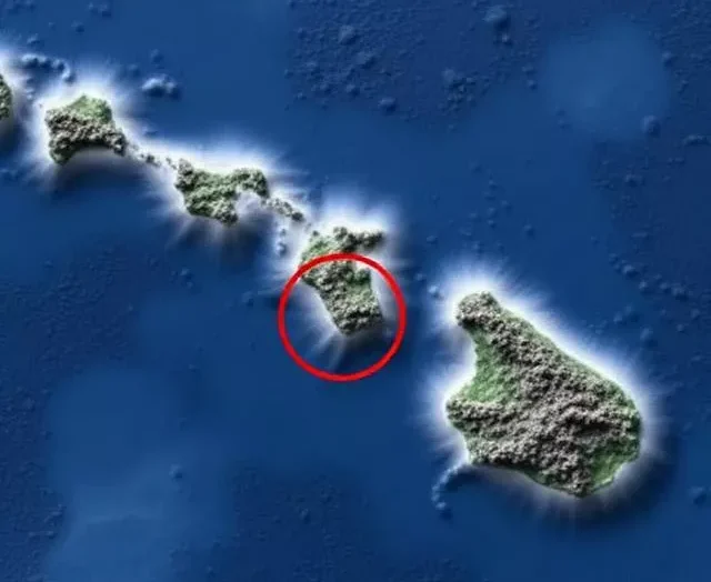 114c3cb2 ac24 4b4b 846b 57da1911e36b 69423cd7886d6