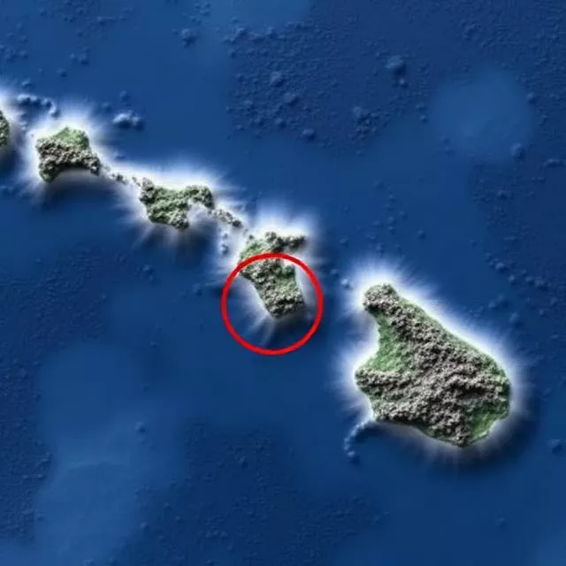 114c3cb2 ac24 4b4b 846b 57da1911e36b 69423cd7886d6