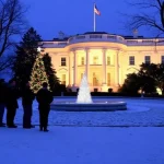 From Surge to Slowdown: US EV Sales Close 2025