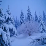 Why US AI Startups Are Attracting Record Funding Again in 2026