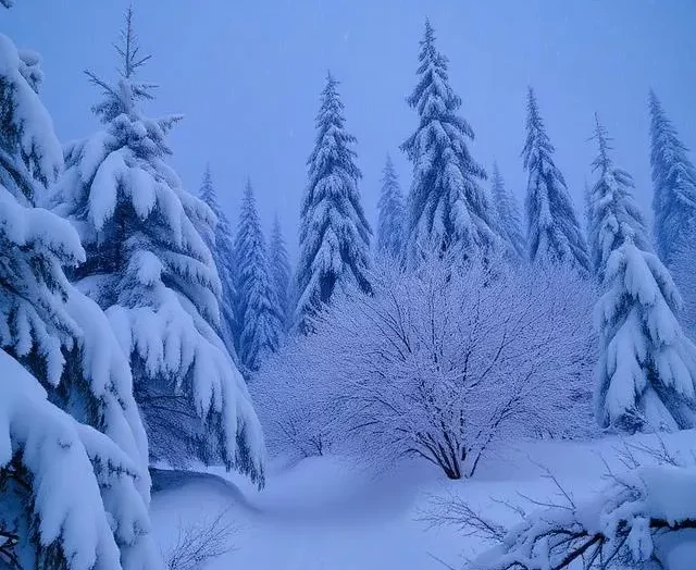 Winter Storm Fern 2026: Massive Snow, Ice, and Extreme Cold to Impact 180+ Million Americans This Weekend – Full Forecast and Safety Tips