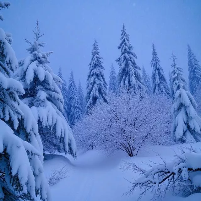 Winter Storm Fern 2026: Massive Snow, Ice, and Extreme Cold to Impact 180+ Million Americans This Weekend – Full Forecast and Safety Tips