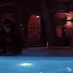 Elon Musk Empire Update: January 2026 – xAI Funding Surge, Grok Controversy